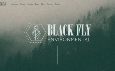 Before and After: A Brand Makeover