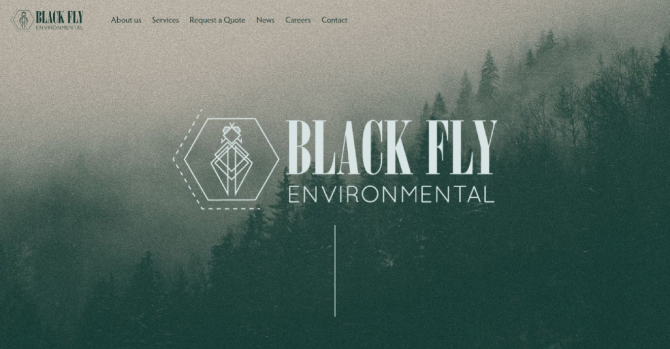 The new logo of Black Fly Environmental, a brand makeover by Beacon creative agency.