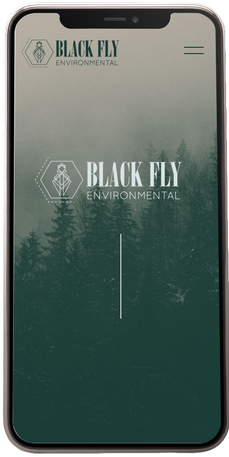 BLACK FLY MOBILE IMAGE