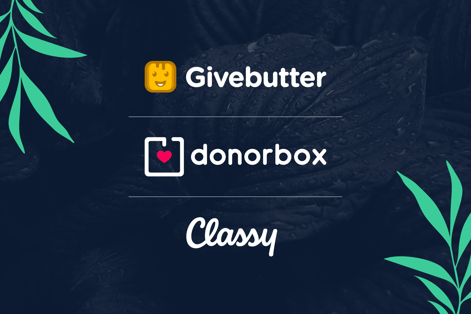 Fundraising Platforms: Givebutter, donorbox, Classy