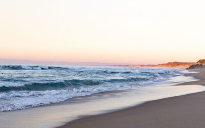 Our Ocean Pledge on World Ocean Day